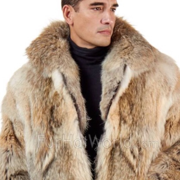 bailey2015505